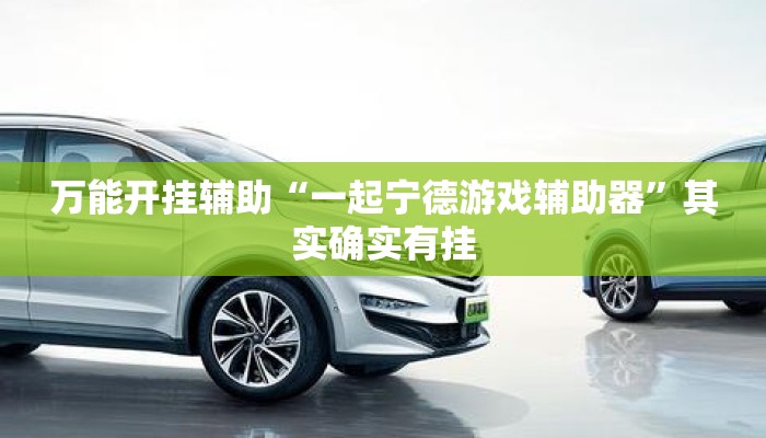 万能开挂辅助“一起宁德游戏辅助器”其实确实有挂