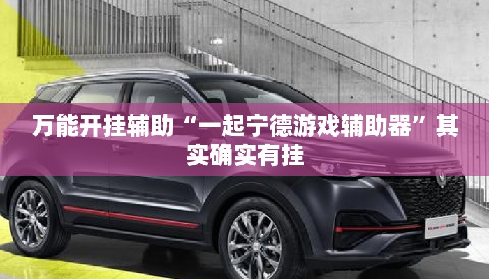万能开挂辅助“一起宁德游戏辅助器”其实确实有挂