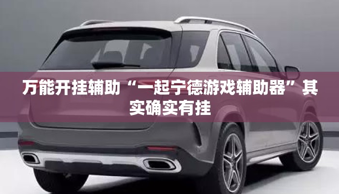 万能开挂辅助“一起宁德游戏辅助器”其实确实有挂