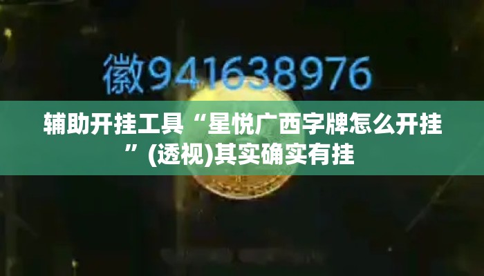 辅助开挂工具“星悦广西字牌怎么开挂”(透视)其实确实有挂 