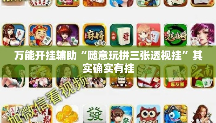 万能开挂辅助“奕乐贵州麻将怎么开挂”其实确实有挂