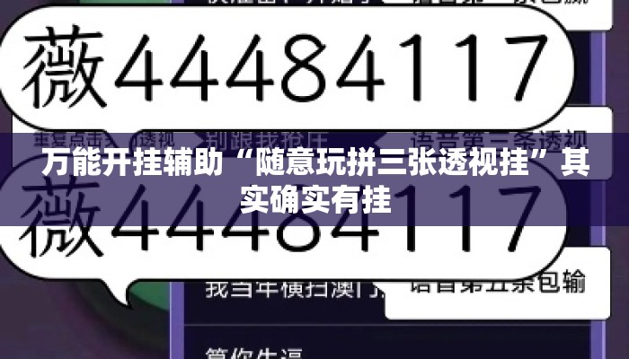 万能开挂辅助“随意玩拼三张透视挂”其实确实有挂
