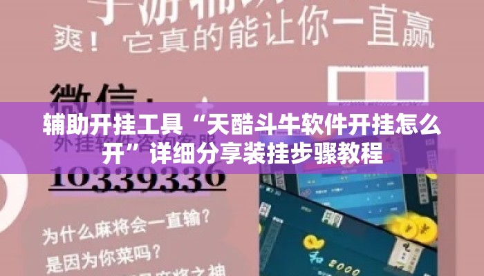 辅助开挂工具“天酷斗牛软件开挂怎么开	”详细分享装挂步骤教程