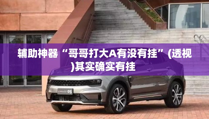 辅助神器“哥哥打大A有没有挂”(透视)其实确实有挂 