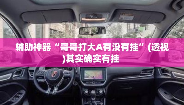 辅助神器“哥哥打大A有没有挂”(透视)其实确实有挂 