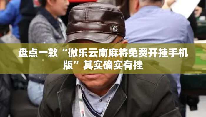 盘点一款“微乐云南麻将免费开挂手机版”其实确实有挂