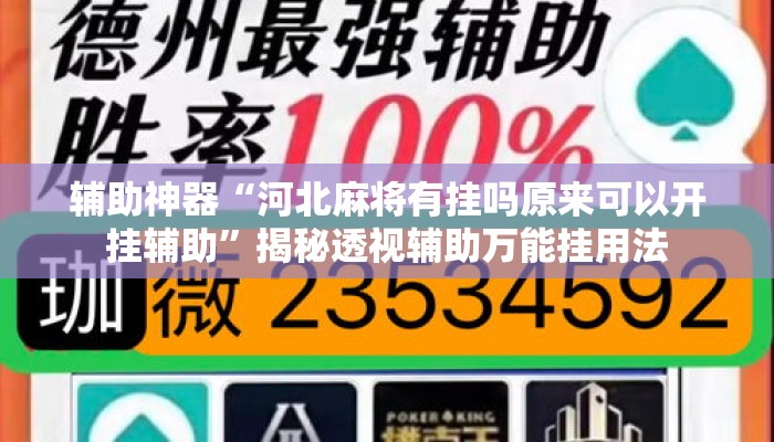 辅助神器“河北麻将有挂吗原来可以开挂辅助”揭秘透视辅助万能挂用法