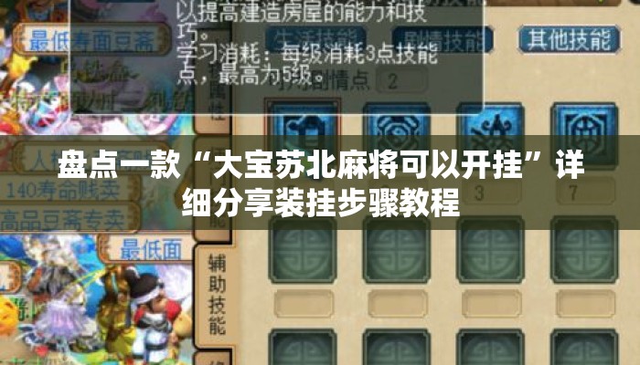 盘点一款“大宝苏北麻将可以开挂”详细分享装挂步骤教程