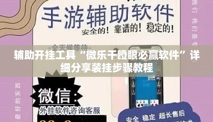 辅助开挂工具“微乐干瞪眼必赢软件	”详细分享装挂步骤教程