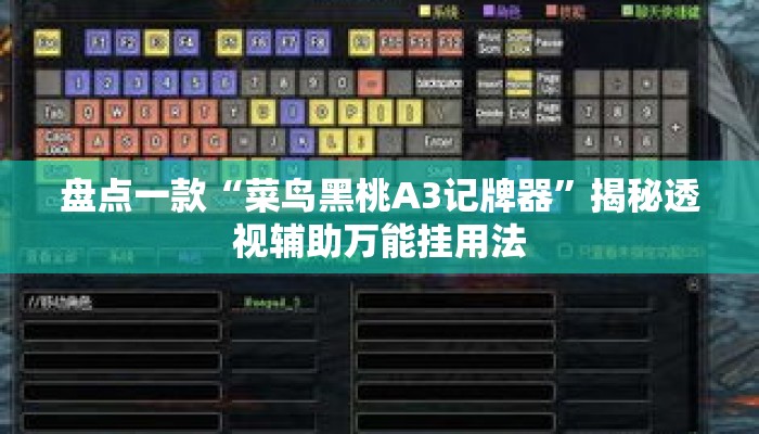 盘点一款“菜鸟黑桃A3记牌器”揭秘透视辅助万能挂用法