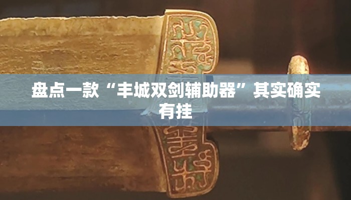 盘点一款“丰城双剑辅助器	”其实确实有挂
