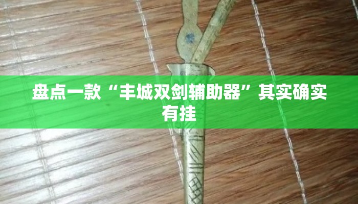 盘点一款“丰城双剑辅助器”其实确实有挂