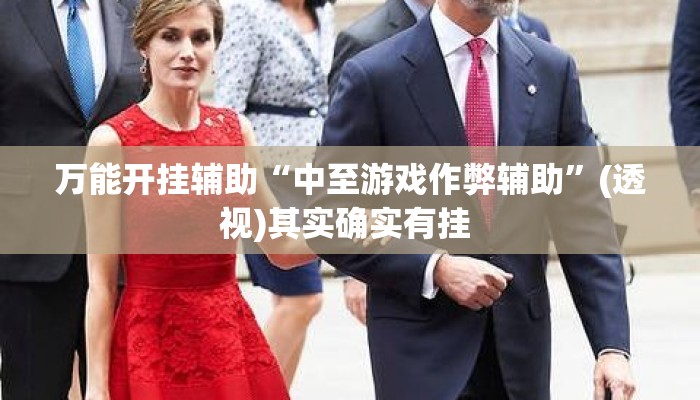 万能开挂辅助“中至游戏作弊辅助	”(透视)其实确实有挂 