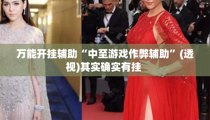 万能开挂辅助“中至游戏作弊辅助”(透视)其实确实有挂 