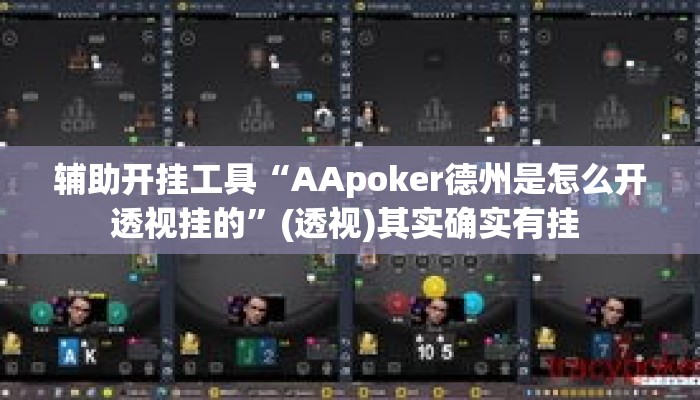辅助开挂工具“AApoker德州是怎么开透视挂的”(透视)其实确实有挂 