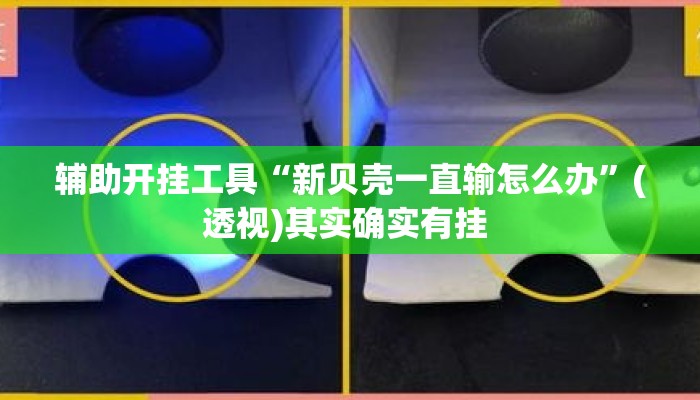 辅助开挂工具“新贝壳一直输怎么办	”(透视)其实确实有挂 