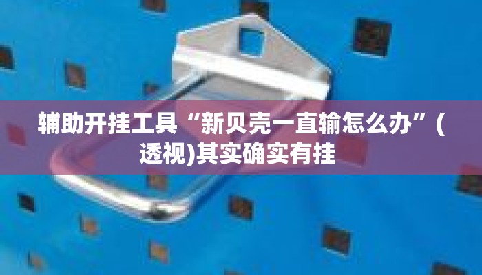 辅助开挂工具“新贝壳一直输怎么办”(透视)其实确实有挂 