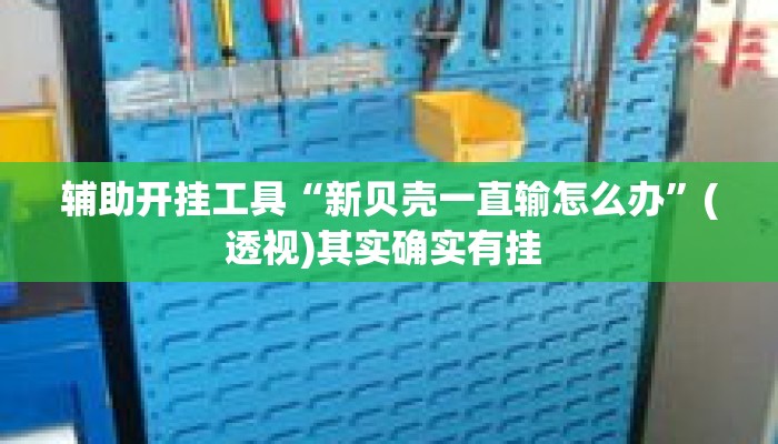 辅助开挂工具“新贝壳一直输怎么办”(透视)其实确实有挂 