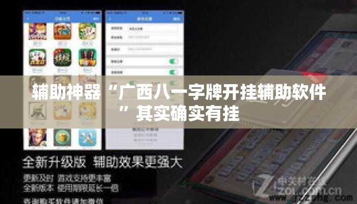 辅助神器“广西八一字牌开挂辅助软件”其实确实有挂