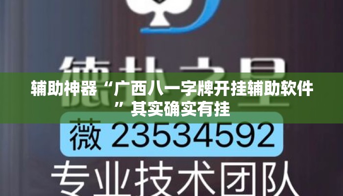 辅助神器“广西八一字牌开挂辅助软件	”其实确实有挂