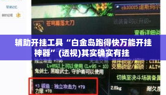 辅助开挂工具“白金岛跑得快万能开挂神器”(透视)其实确实有挂 