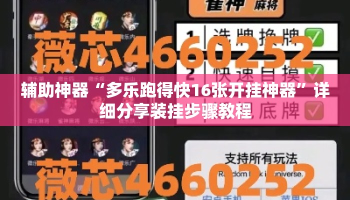 辅助神器“多乐跑得快16张开挂神器”详细分享装挂步骤教程