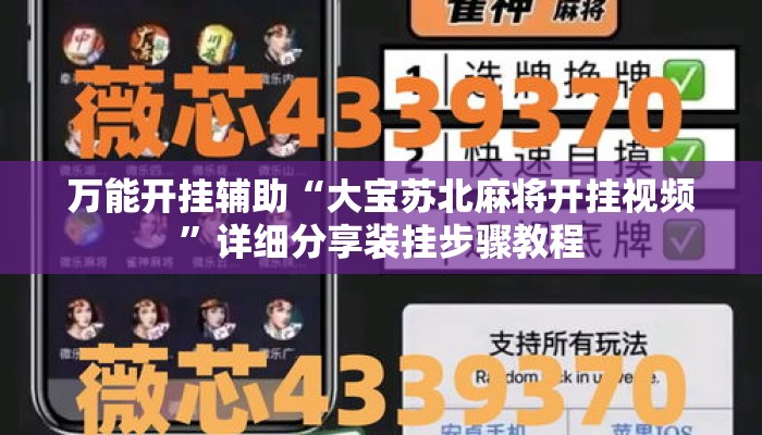 万能开挂辅助“大宝苏北麻将开挂视频”详细分享装挂步骤教程