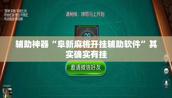 辅助神器“阜新麻将开挂辅助软件”其实确实有挂