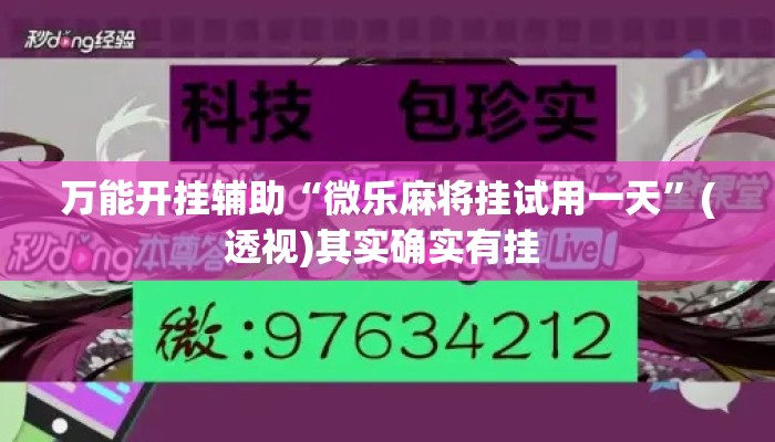 万能开挂辅助“微乐麻将挂试用一天”(透视)其实确实有挂 
