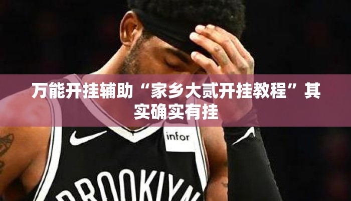 万能开挂辅助“家乡大贰开挂教程”其实确实有挂