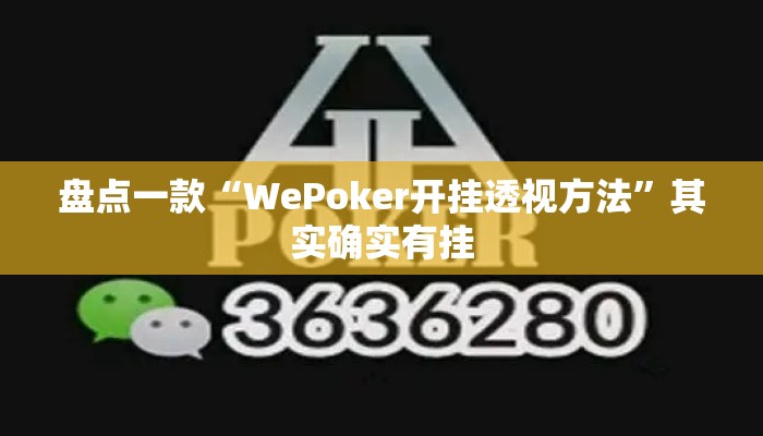 盘点一款“WePoker开挂透视方法”其实确实有挂