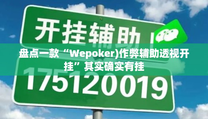 盘点一款“Wepoker)作弊辅助透视开挂	”其实确实有挂