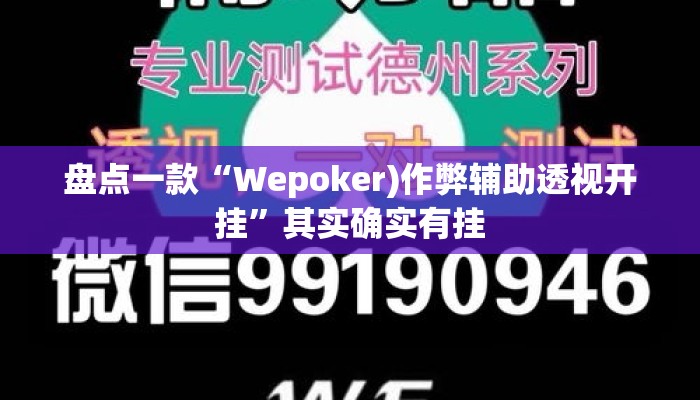 盘点一款“Wepoker)作弊辅助透视开挂”其实确实有挂
