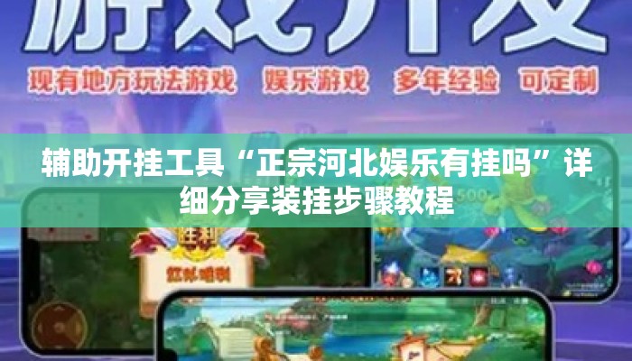 辅助开挂工具“正宗河北娱乐有挂吗	”详细分享装挂步骤教程