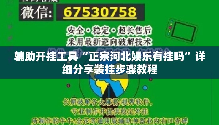 辅助开挂工具“正宗河北娱乐有挂吗”详细分享装挂步骤教程