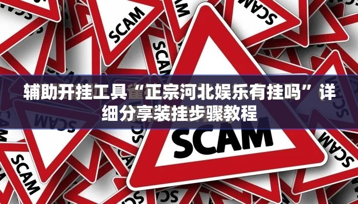 辅助开挂工具“正宗河北娱乐有挂吗”详细分享装挂步骤教程