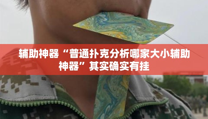 辅助神器“普通扑克分析哪家大小辅助神器”其实确实有挂