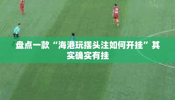盘点一款“海港玩摆头注如何开挂”其实确实有挂
