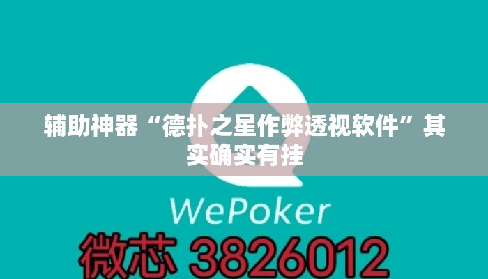 辅助神器“德扑之星作弊透视软件”其实确实有挂