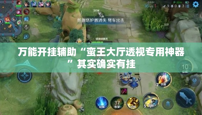 万能开挂辅助“蛮王大厅透视专用神器”其实确实有挂