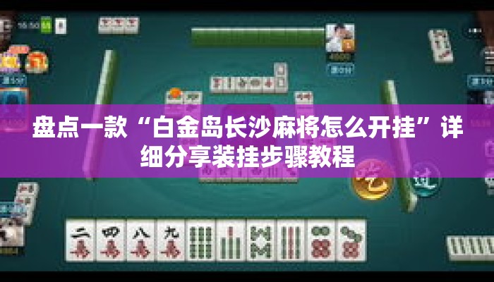 盘点一款“白金岛长沙麻将怎么开挂”详细分享装挂步骤教程