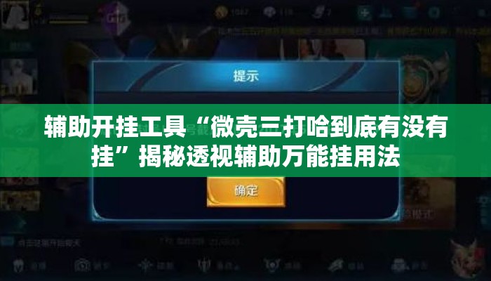 辅助开挂工具“微壳三打哈到底有没有挂”揭秘透视辅助万能挂用法
