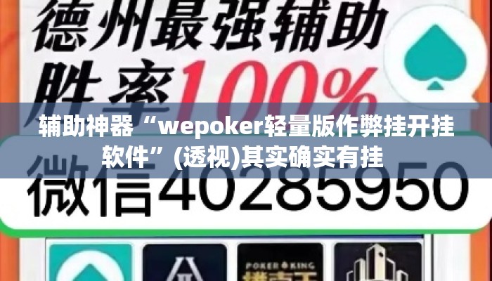 辅助神器“wepoker轻量版作弊挂开挂软件”(透视)其实确实有挂 
