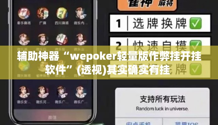 辅助神器“wepoker轻量版作弊挂开挂软件	”(透视)其实确实有挂 