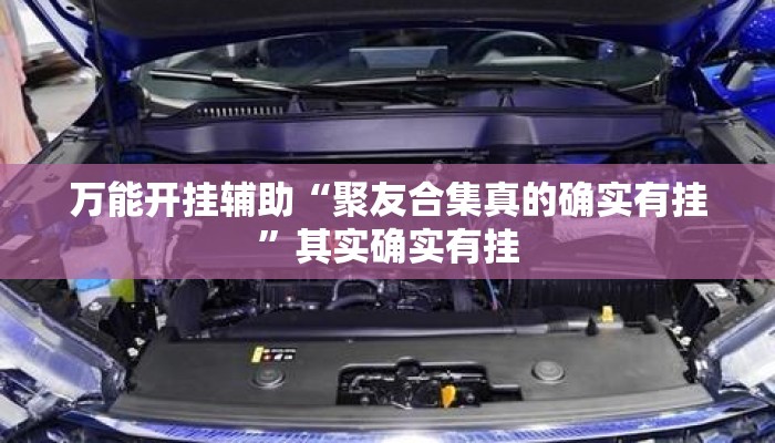 万能开挂辅助“聚友合集真的确实有挂”其实确实有挂
