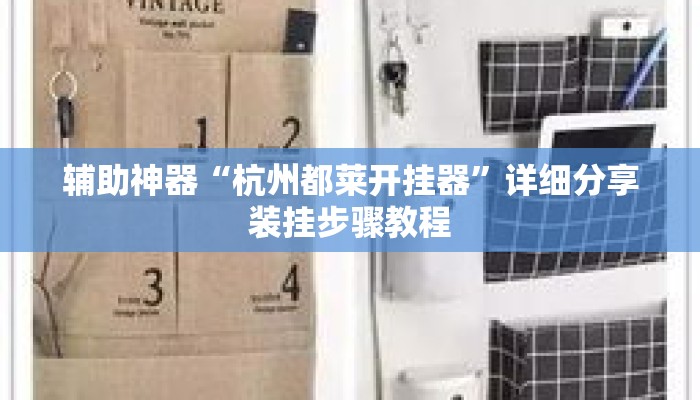 辅助神器“杭州都莱开挂器	”详细分享装挂步骤教程