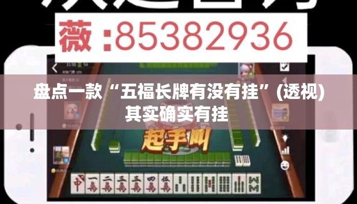 盘点一款“五福长牌有没有挂”(透视)其实确实有挂 