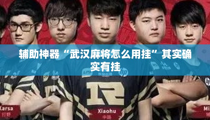 辅助神器“武汉麻将怎么用挂”其实确实有挂