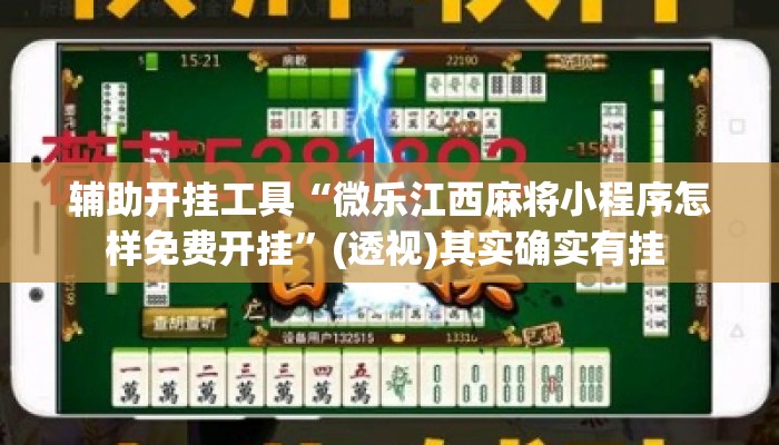 辅助开挂工具“微乐江西麻将小程序怎样免费开挂”(透视)其实确实有挂 