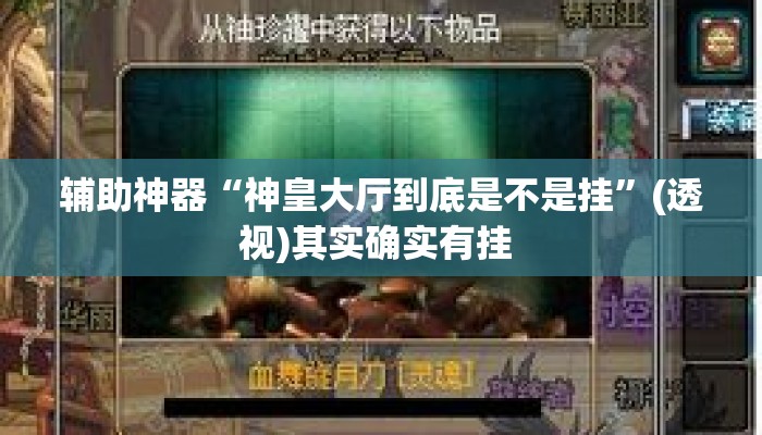 辅助神器“神皇大厅到底是不是挂”(透视)其实确实有挂 